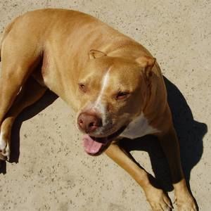 Meet your Posher, Lynn